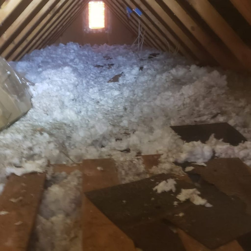 dimly lit attic with damaged clown in cellulose insulation. For an insulation replacement estimate contact Summit Environmental Solutions