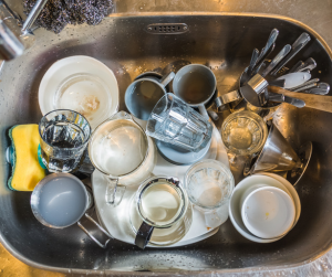 Pest prevention tips dirty dishes