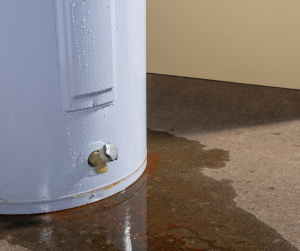 Summit pest control leaking pump, moisture issues