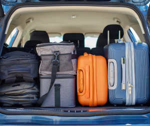 spring break pest control