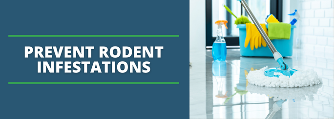 hantavirus and rodent prevention