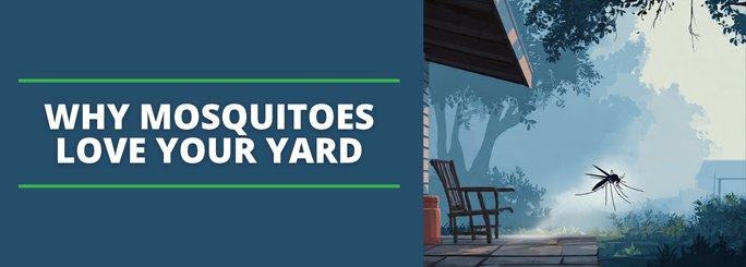 summit pest control in virginia beach mosquito control and preventative treatment