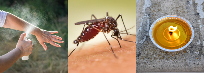 summit pest control in virginia beach mosquito control and preventative treatment