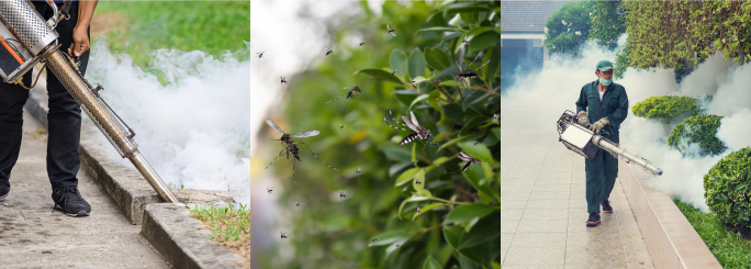 summit pest control in virginia beach mosquito control and preventative treatment