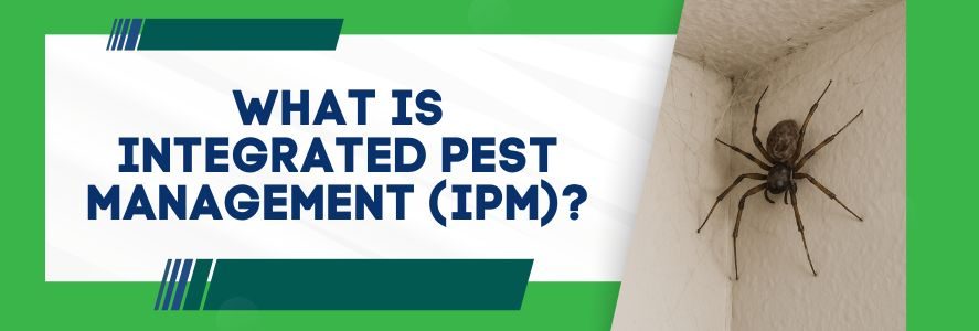 What is Integrated Pest Management (IPM)