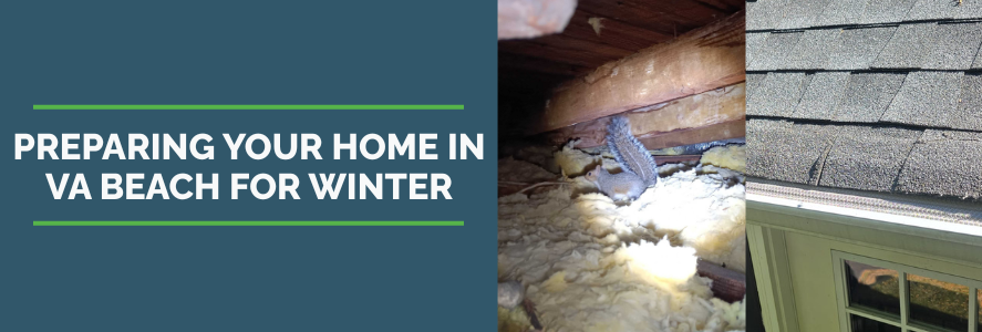 prepare your home for winter in va beach with image of squirrel in the attic of a home and image of a roof with a gutter guard installed to protect gutters